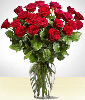 Flores a  Majestic Rojo de 24 Rosas