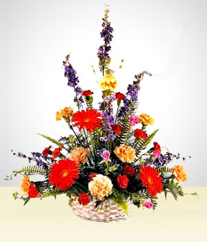 Flores - Celestial: Claveles Multicolores